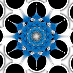 Blue Bloom